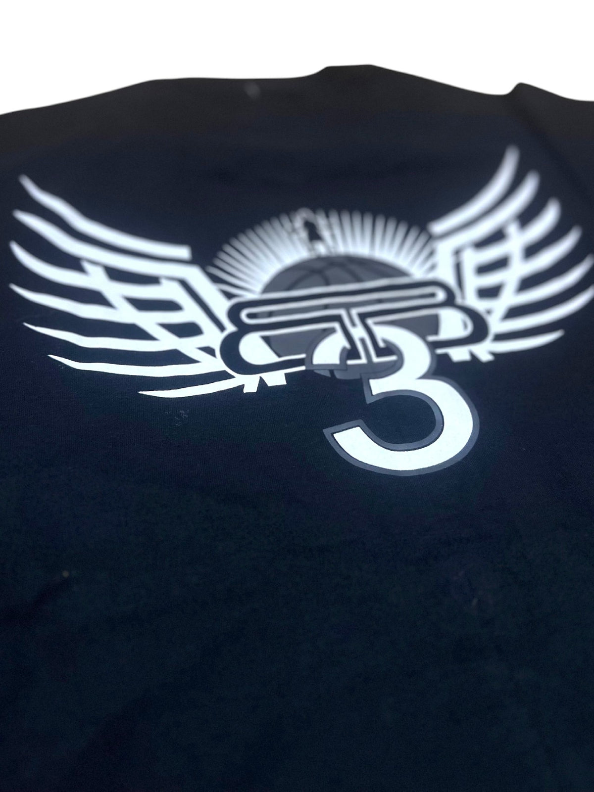 REMERA OVERSIZE WINGS
