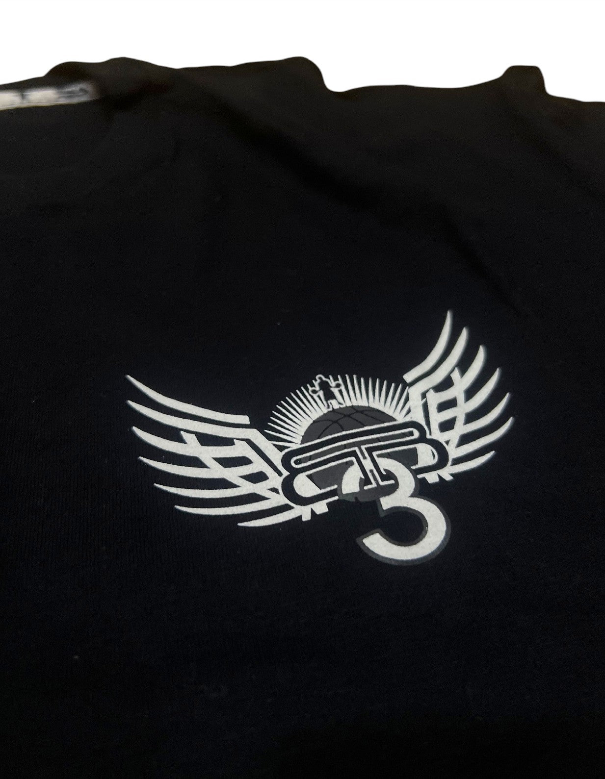 REMERA OVERSIZE WINGS