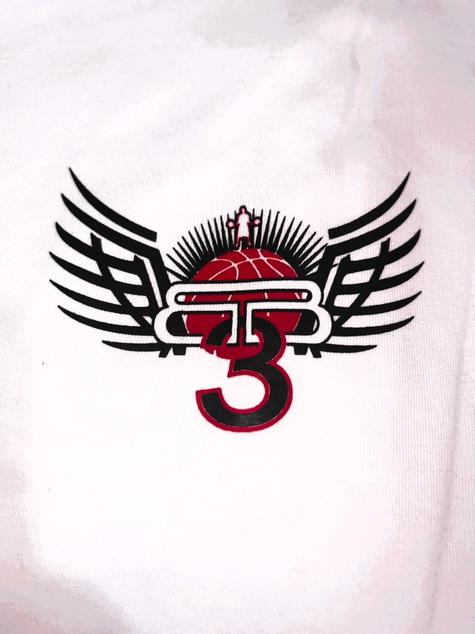 REMERA OVERSIZE WINGS